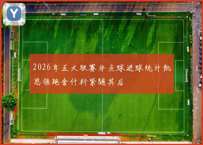 2026年五大联赛非点球进球统计凯恩领跑舍什科紧随其后