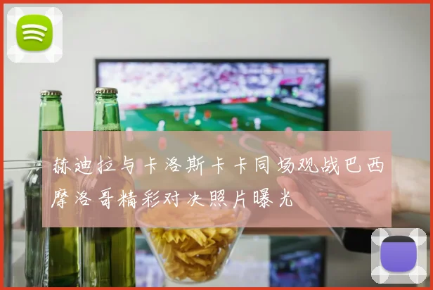 赫迪拉与卡洛斯卡卡同场观战巴西摩洛哥精彩对决照片曝光